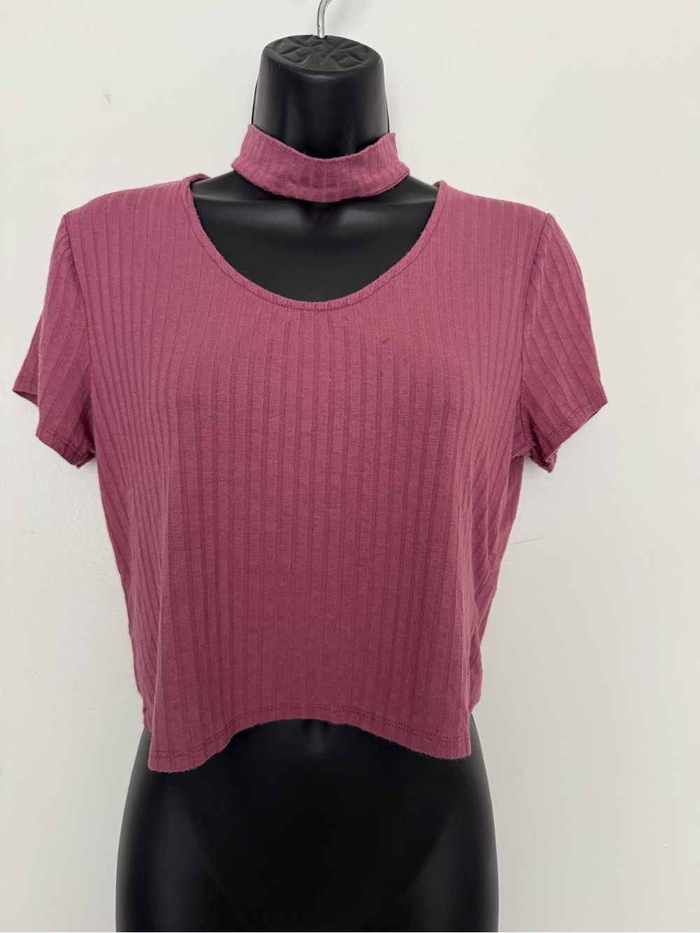 Ribbed Short Sleeve Crop Top with Detachable Choker - Mauve Pink